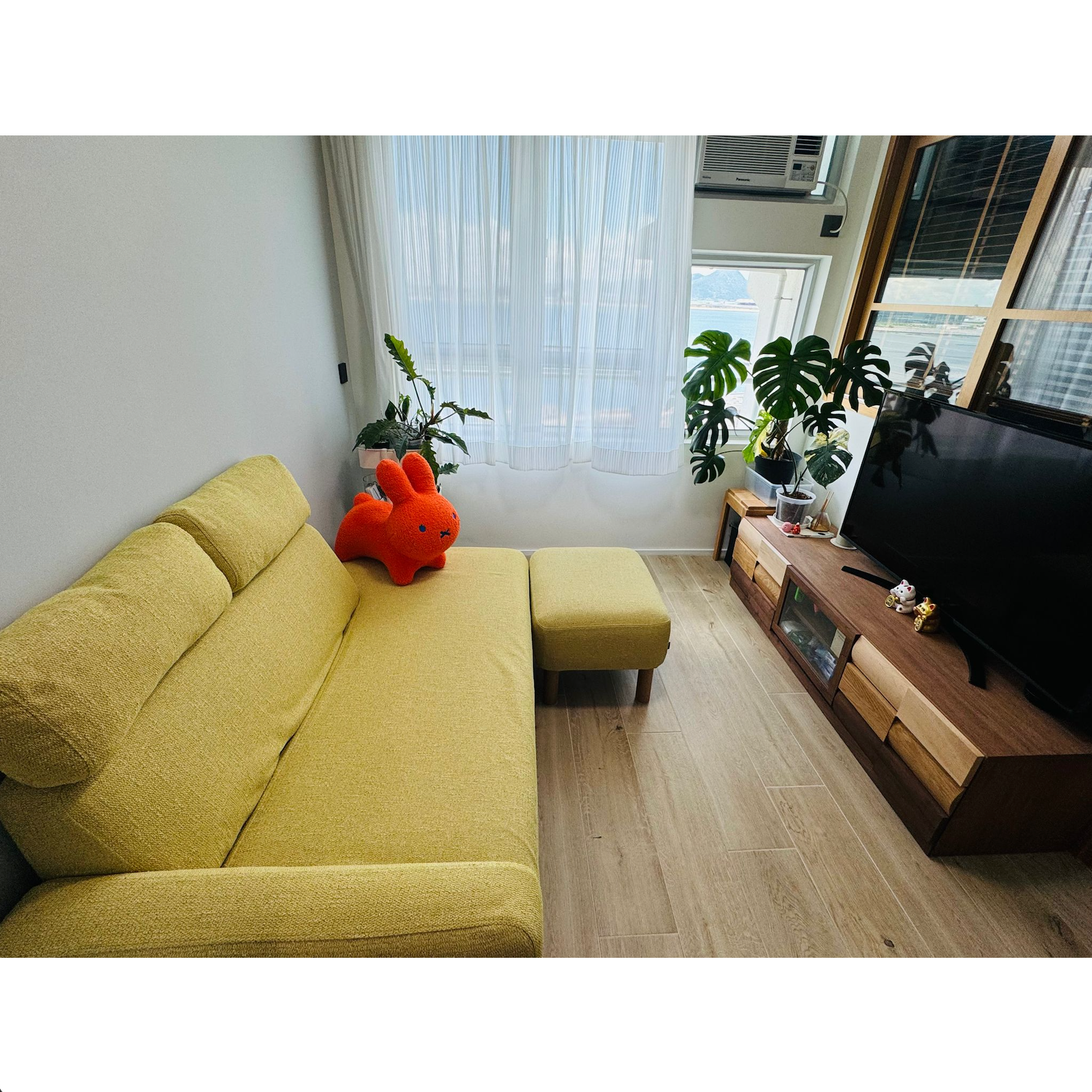 東涌:家具、植物和日光的完美組合