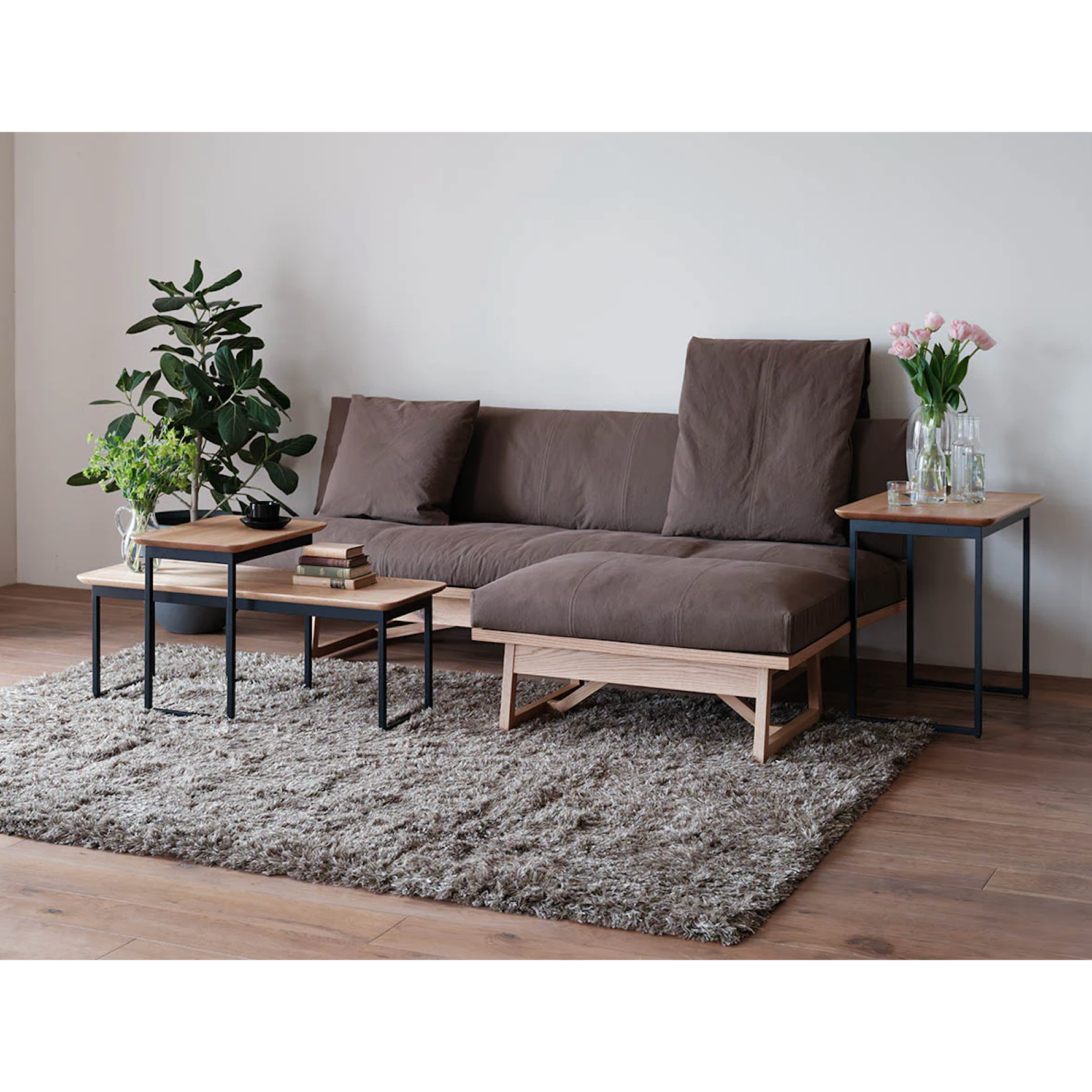 Oak/MH 049 + Oak/L 098 + Oak/H 063