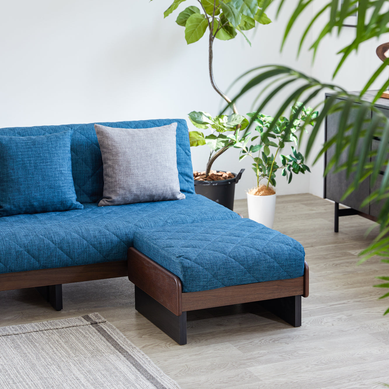 W1805/Walnut stained Oak/Blue