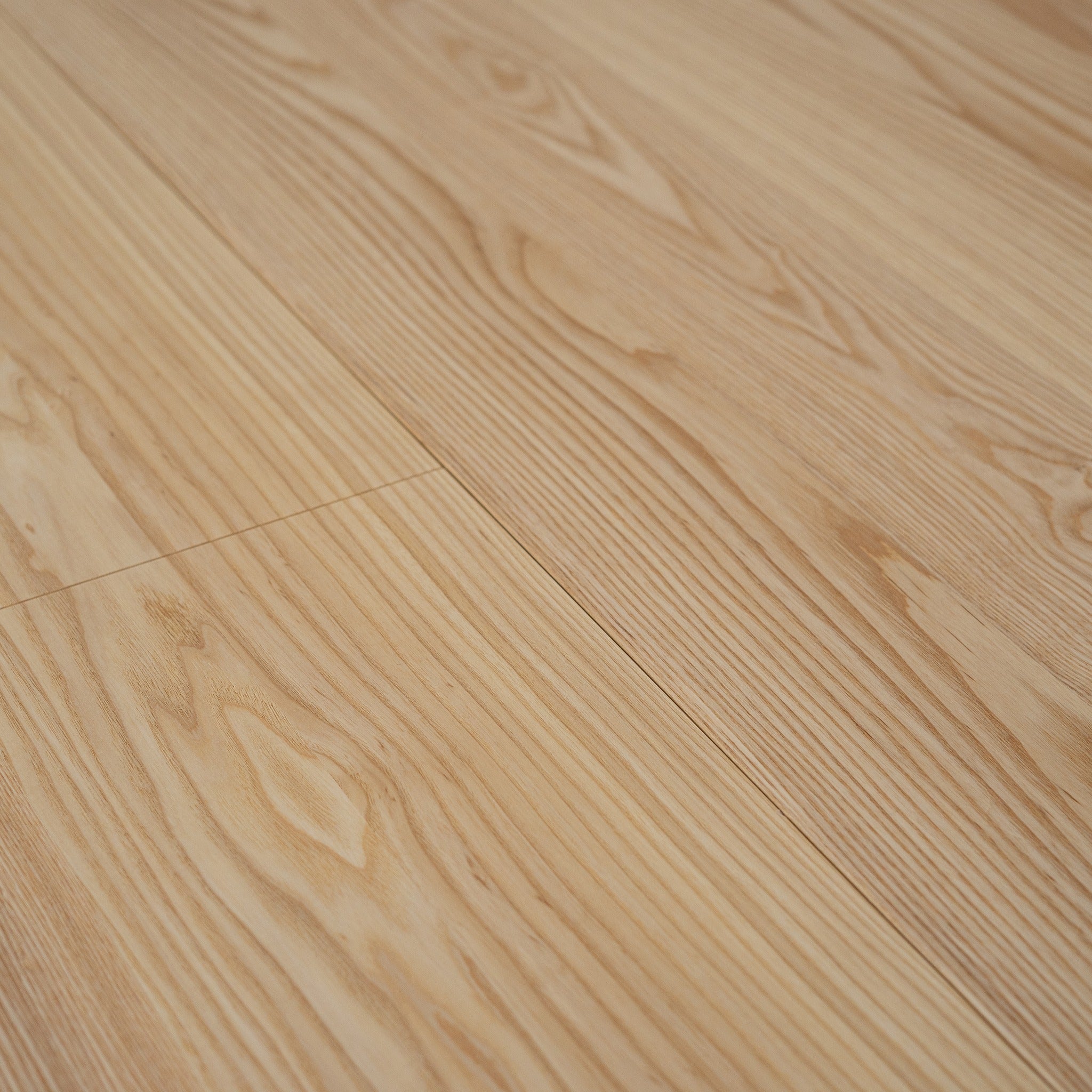 Tamo Ash (NF) Close Up