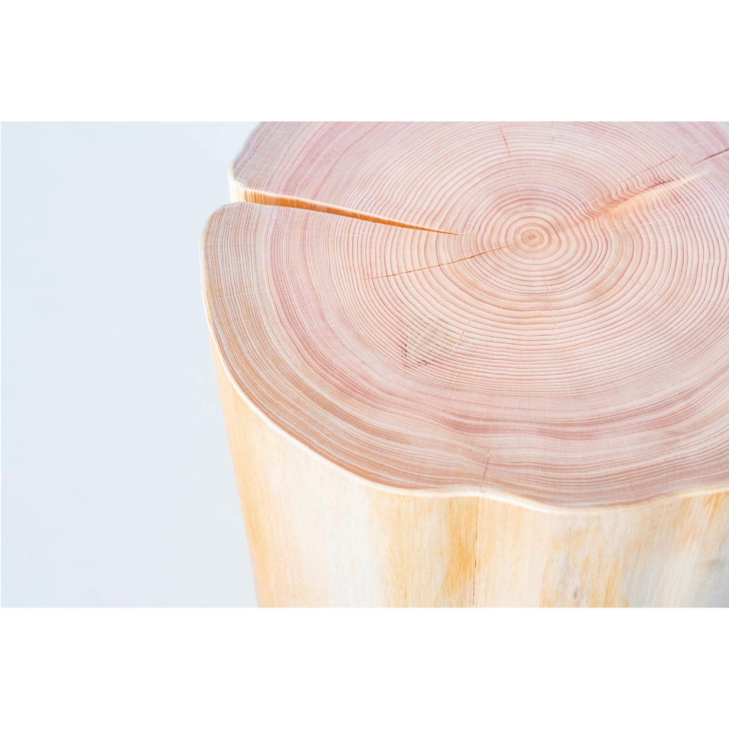 © 2024 Tokyo Chainsaws Co., Ltd