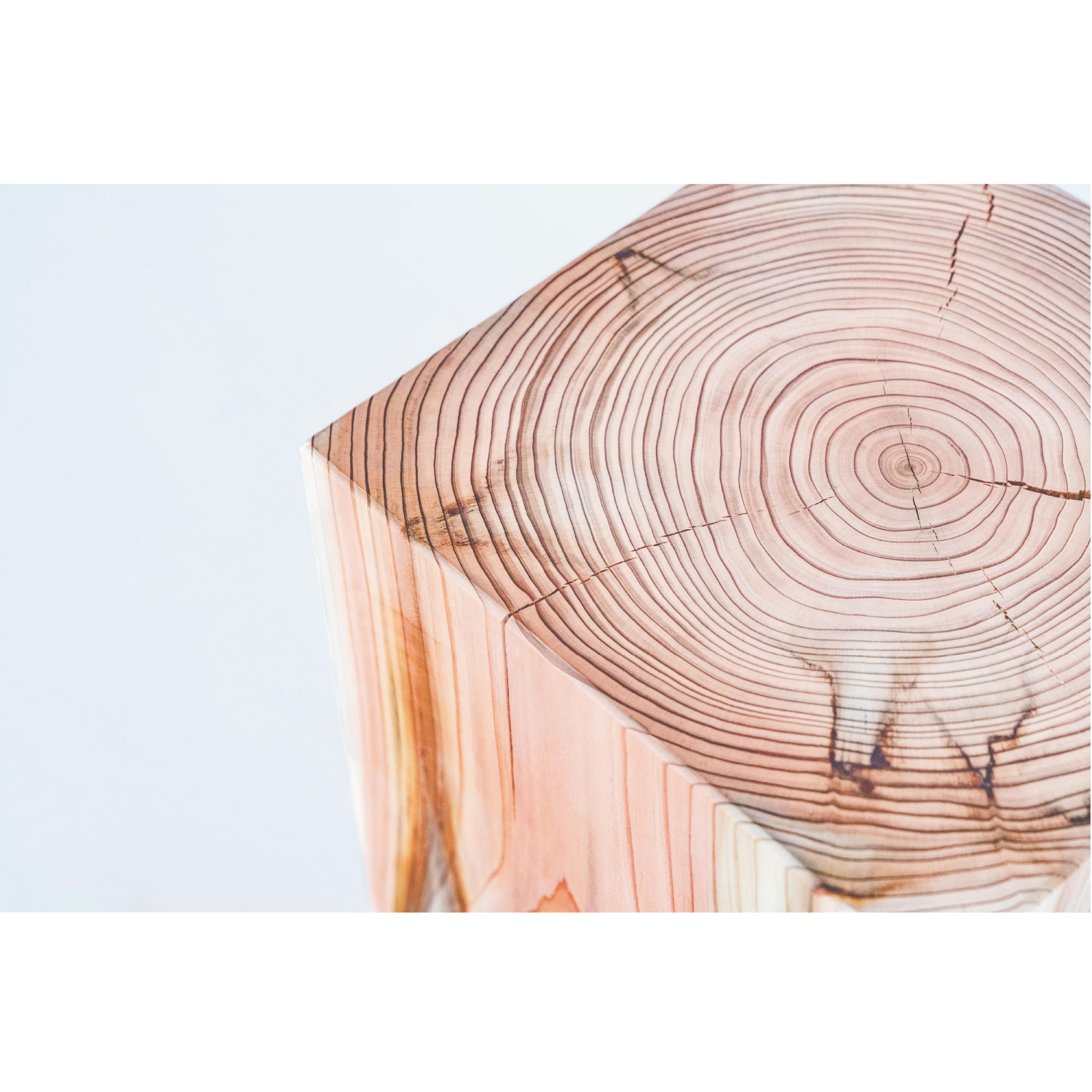 © 2024 Tokyo Chainsaws Co., Ltd