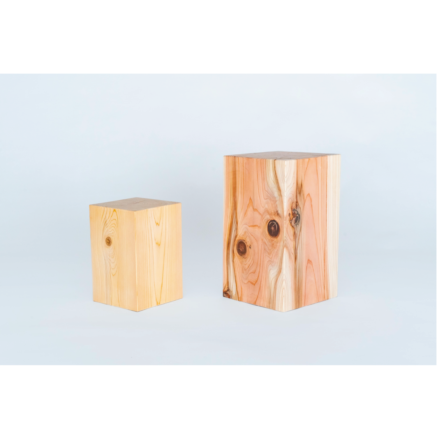 © 2024 Tokyo Chainsaws Co., Ltd