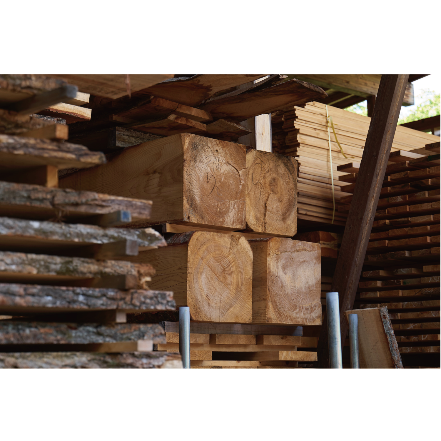 © 2024 Tokyo Chainsaws Co., Ltd