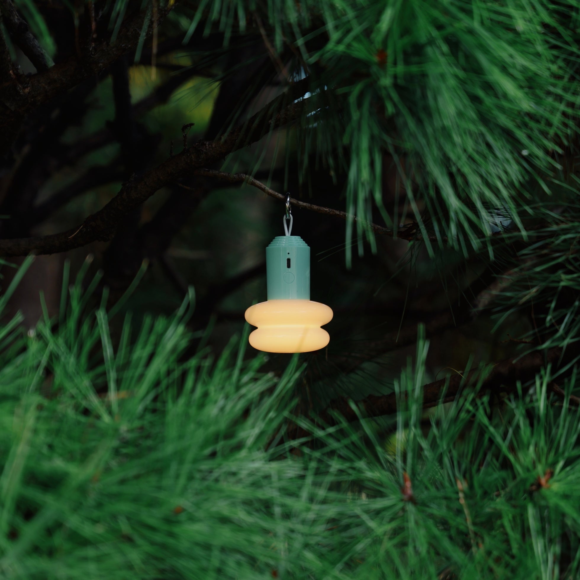 Blossom Edition - Emerald Green