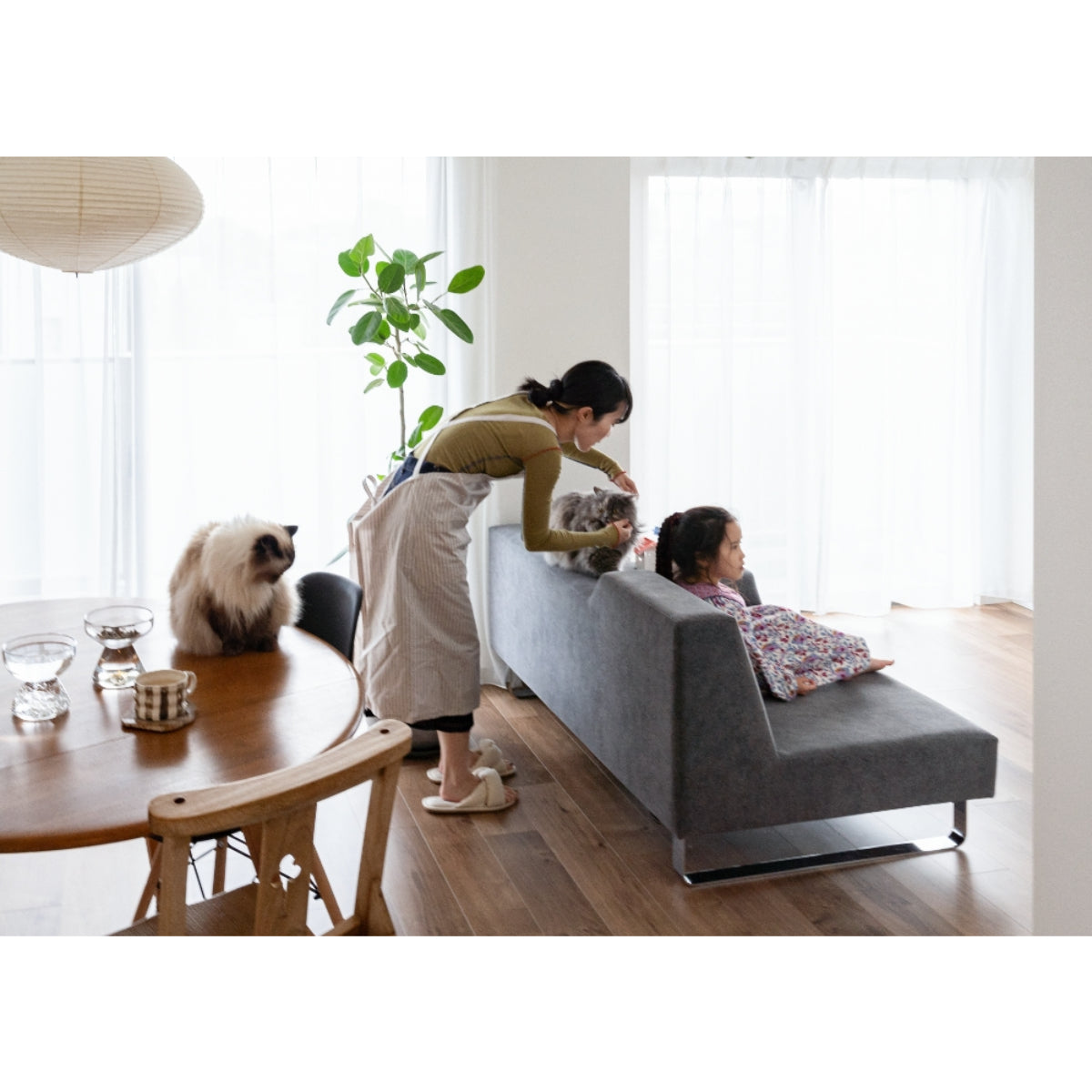 2-seater short / Group 5 / HZ series/ Gray