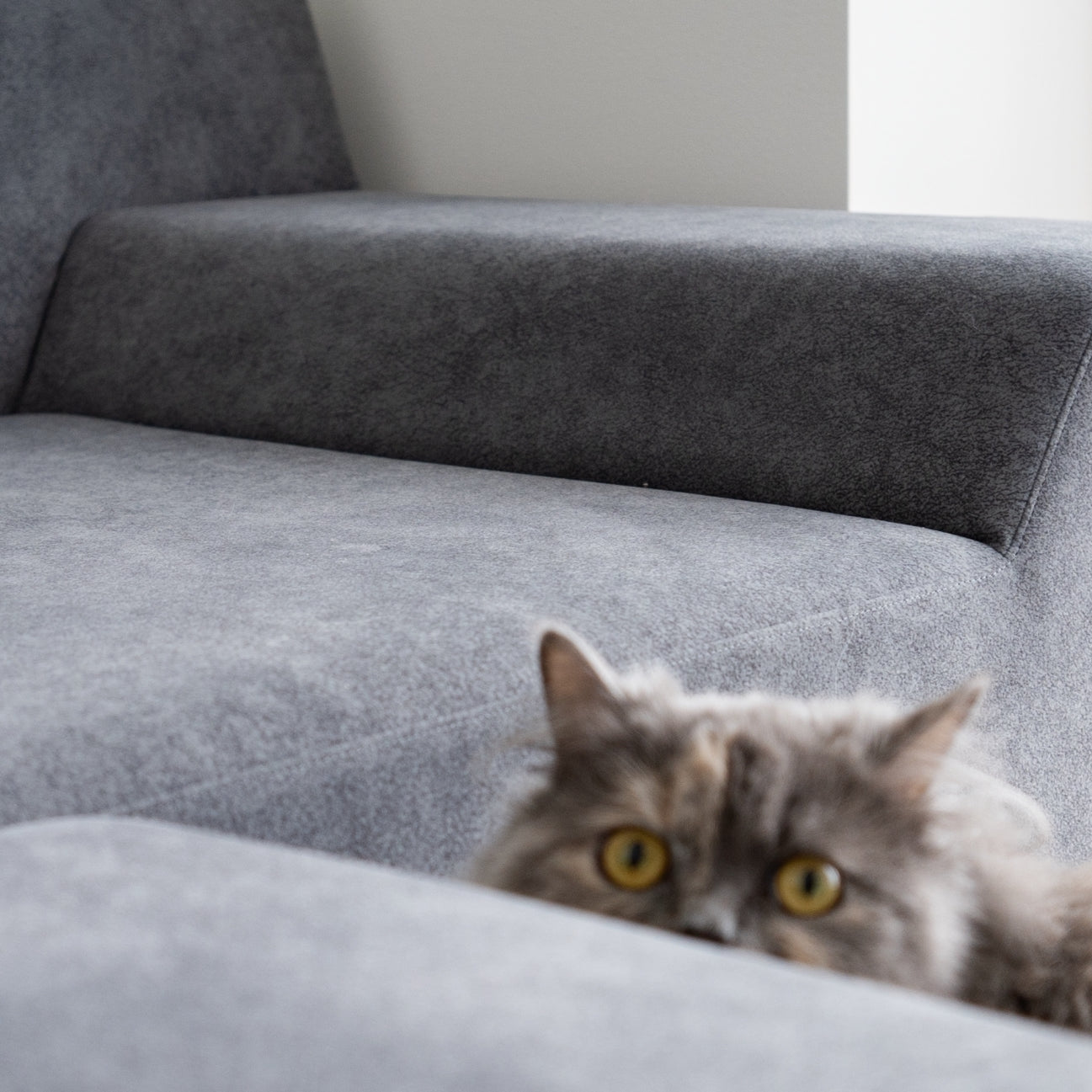 2-seater short / Group 5 / HZ series/ Gray