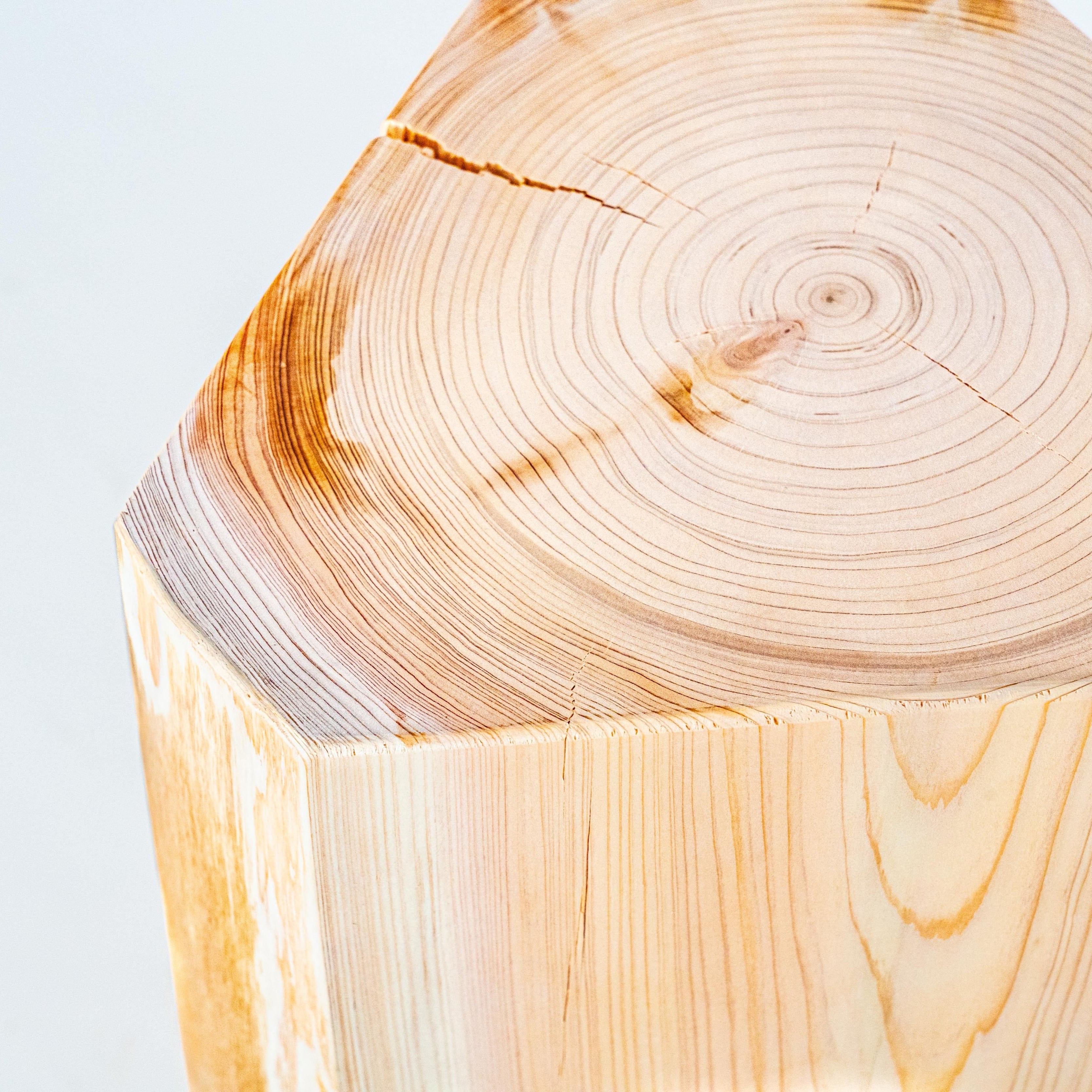 © 2024 Tokyo Chainsaws Co., Ltd