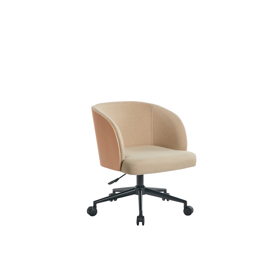 Natural Ash/ Fabric FV001