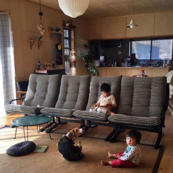 Oak BP/Fabric Rank S - SG04