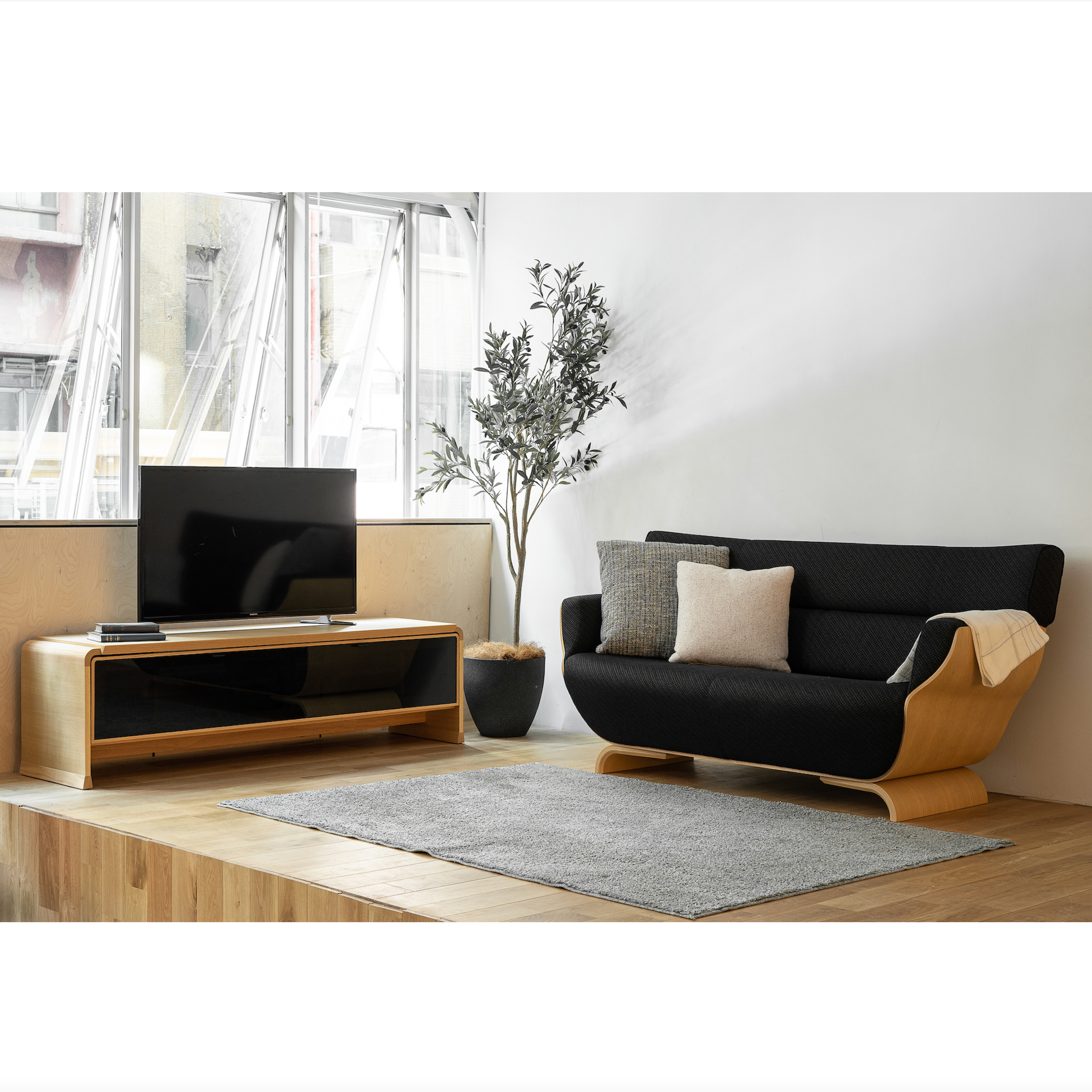 Ahti TV Board W160 & Tapio Sofa W169