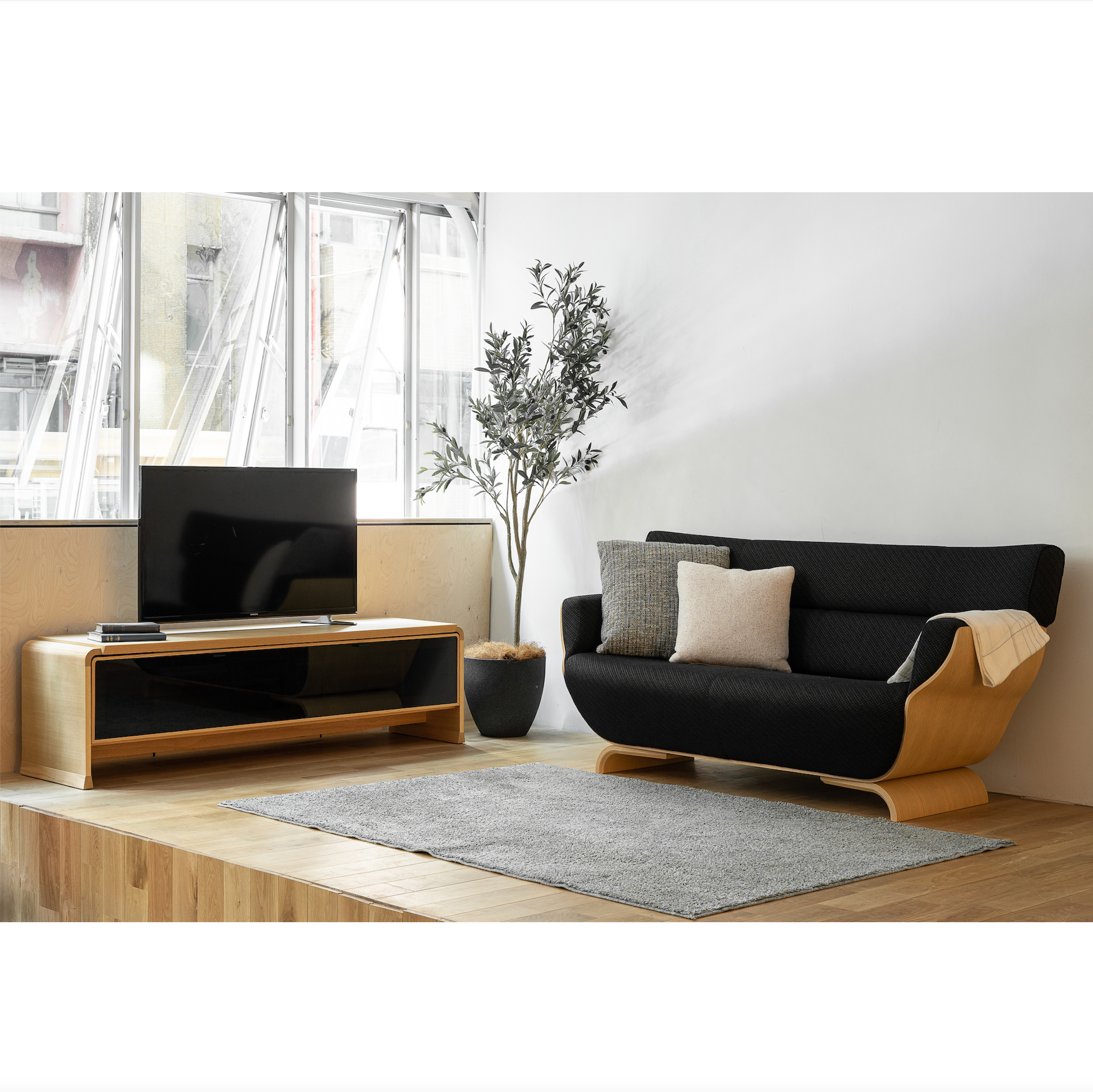 Ahti TV Board W160 & Tapio Sofa W169