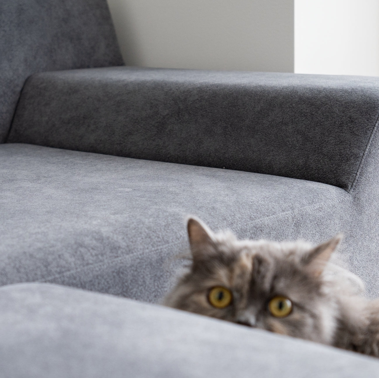 2-seater short / Group 5 / HZ series/ Gray